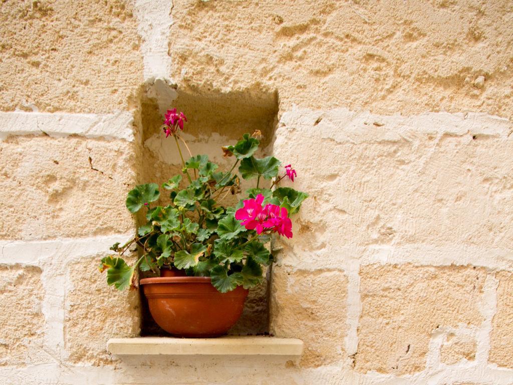 B&B Corte Dell' Idume Lecce Exterior foto
